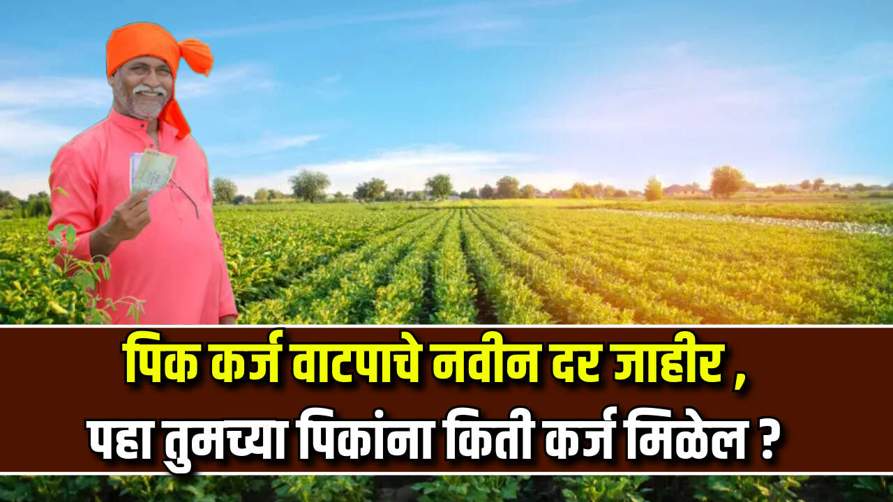 Pik Karj Navin Dar 2024