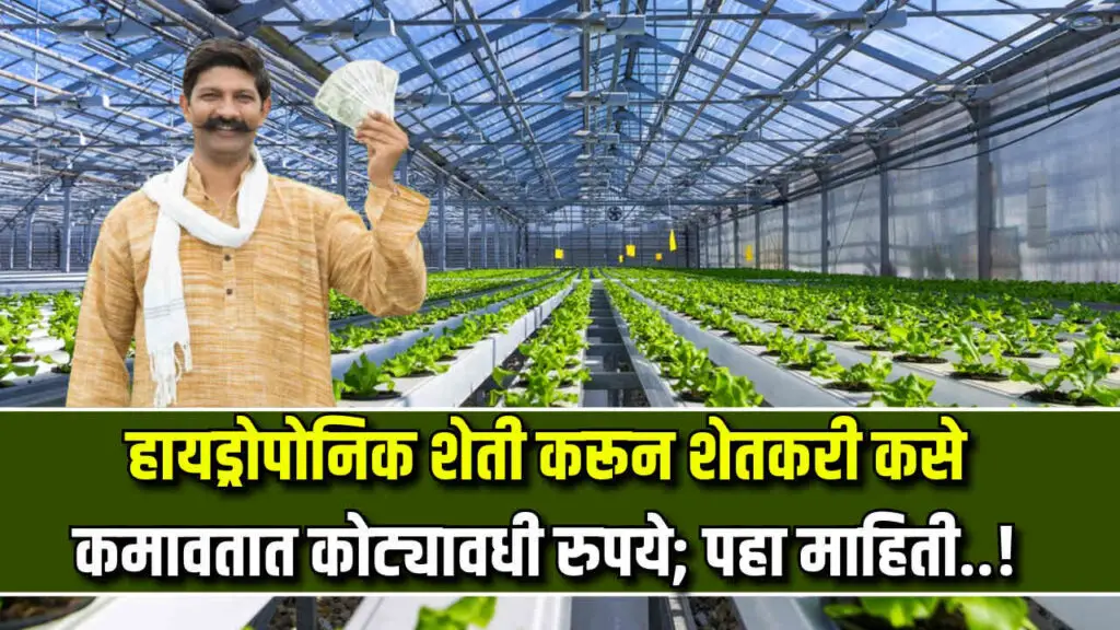 Hydroponic Farming 2024
