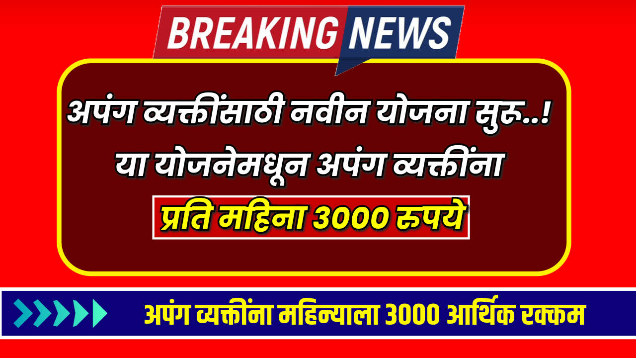 Divyang Anudan Yojana 2024