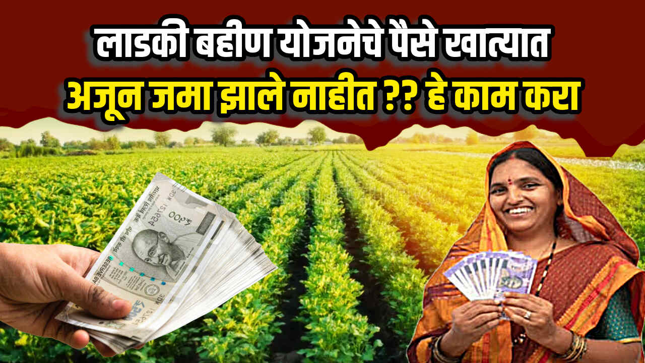 Ladki Bahin Yojana 2024