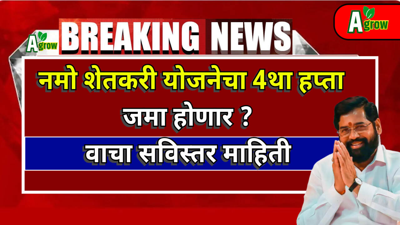 Namo Shethari 4th Hafta 2024