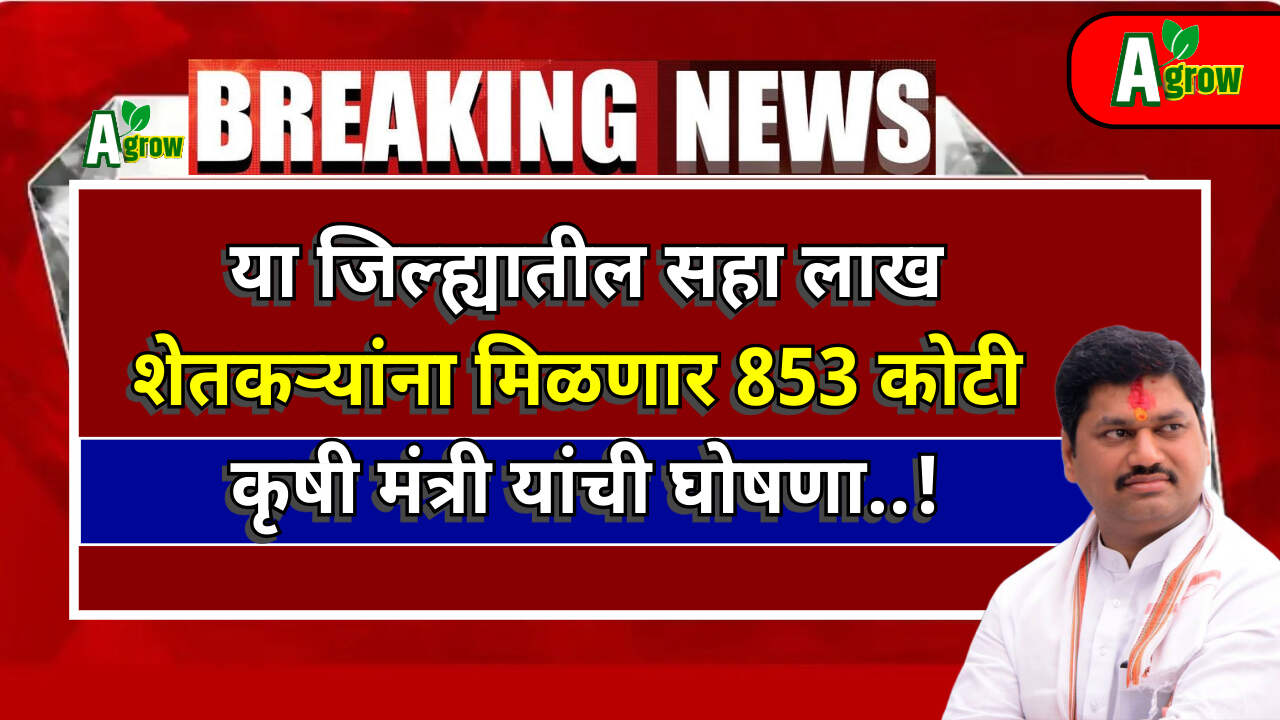 Pik Vima Yojana Hafta 2024