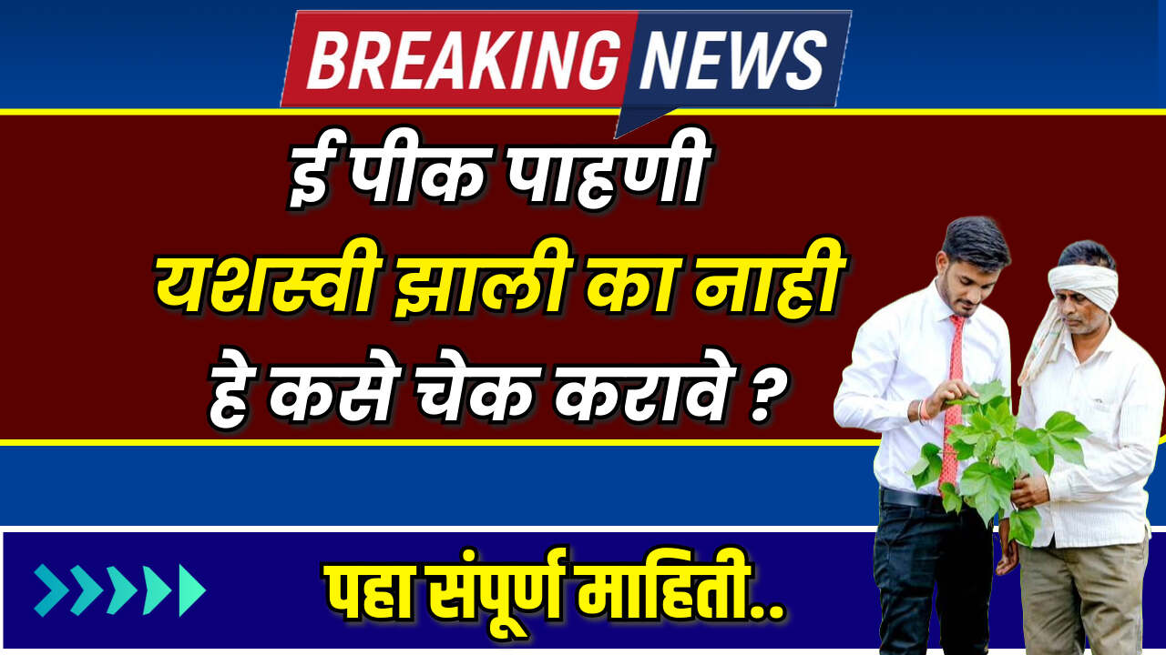 E Pik Pahani Status 2024