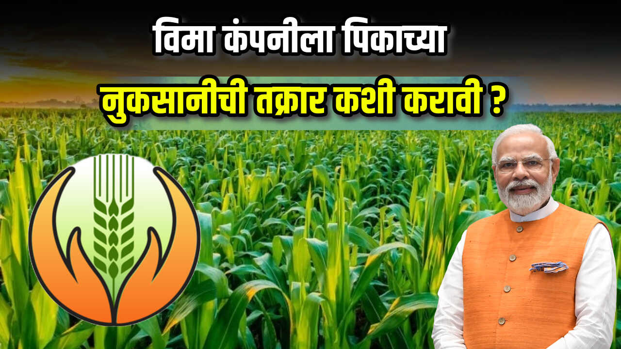 Pik Vima Nukasan 2024