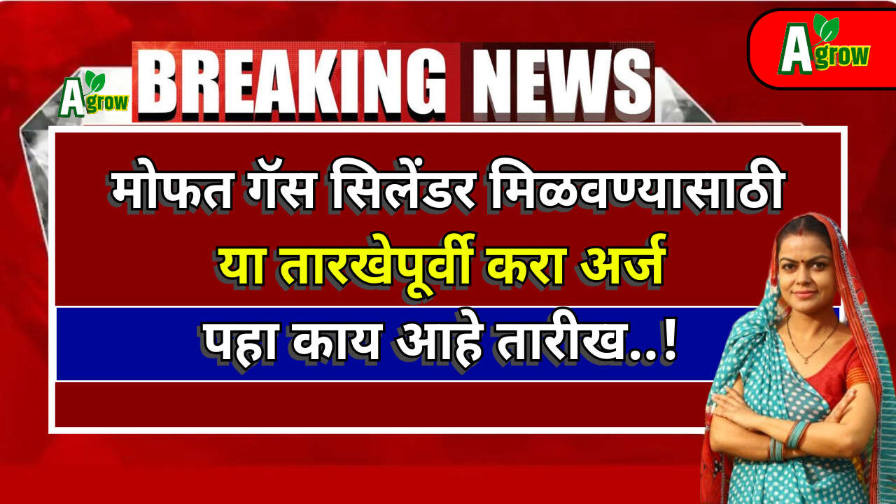 Gas Cylinder E KYC 2024