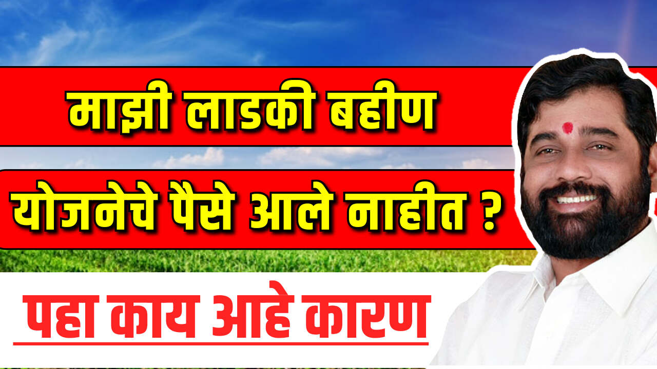 Ladki Bahin Yojana Status 2024