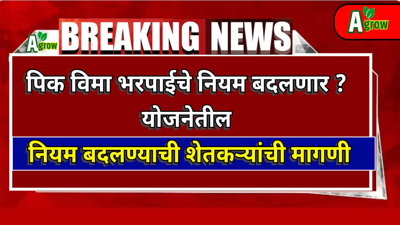 Pik Vima Bharpai 2024