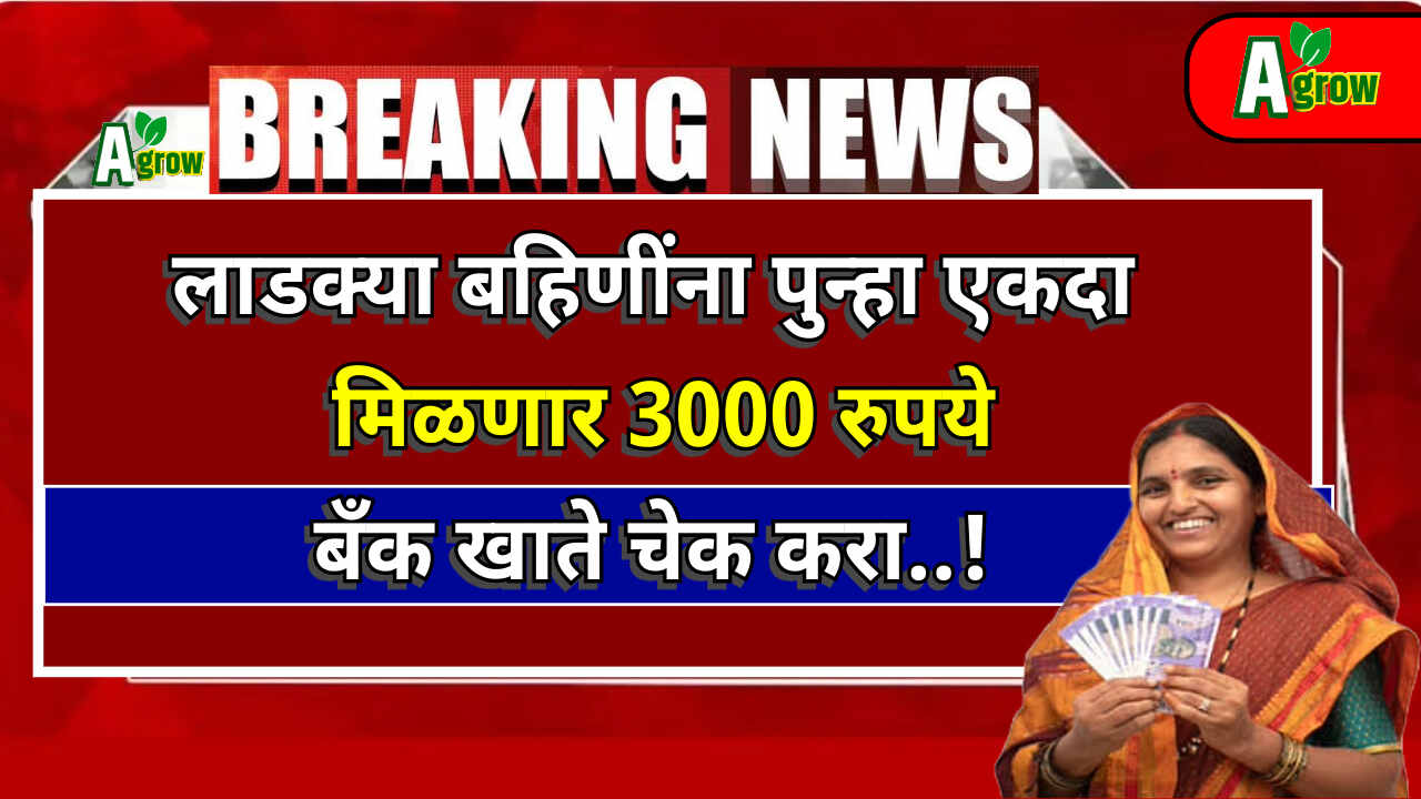 Ladki Bahin Yojana 2024