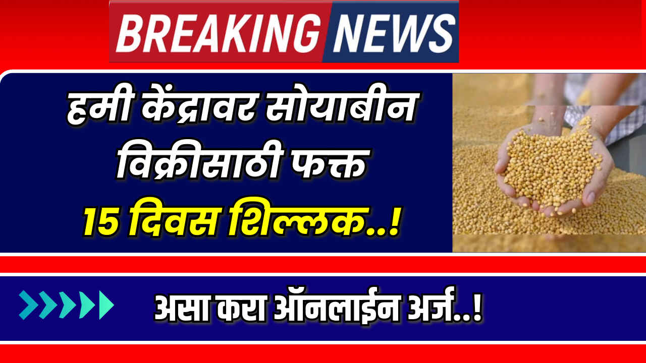 Soyabean Kharedi 2024