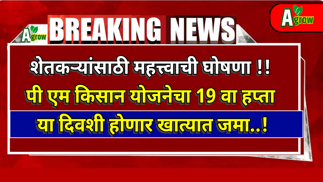 PM Kisan Yojana 19th Hafta 2024